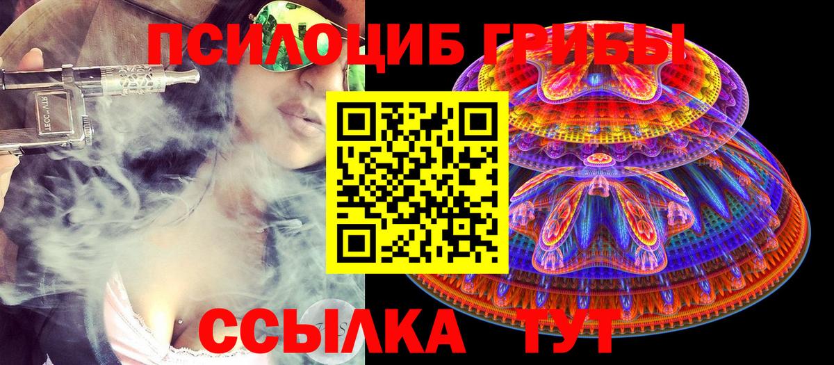 Псилоцибиновые грибы MAGIC MUSHROOMS  Вход с VPN  Бугуруслан  Галлюциногенные грибы Psilocybe 